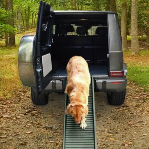 Loopplank Hond Auto Inklapbaar Met Antislip 155 x 40 Tot 90KG Groen