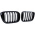 Bmw X3 G01 Sport Nieren / Grill Hoogglans Dubbele Spijl Hoogglans Zwart